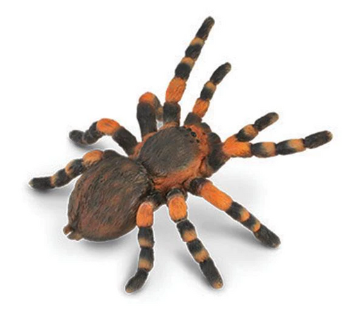 Reeves Collecta Mexican Red Kneed Tarantula